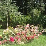 Arianna Hill House Oda ve Kahvaltı La Spezia